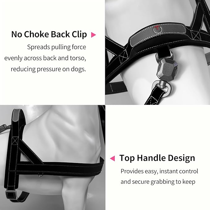 Magnetic Dog Harness and Leash Set with Quick Release Buckle, Easy On & Off Faux Leather Puppy Harness and Leash with Handle for Medium, Large Sized Dog