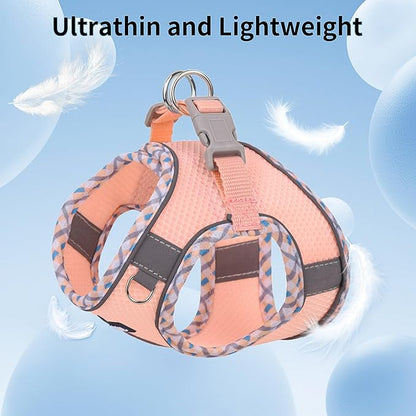 AIITLE Dog Harness and Leash Set - Ultra-Comfortable XXS-XL Vest with Strong Magic Tape & Glow-in-Dark Reflective Strips, Chafe-Free for Teddy, Schnauzer (Pink, M)