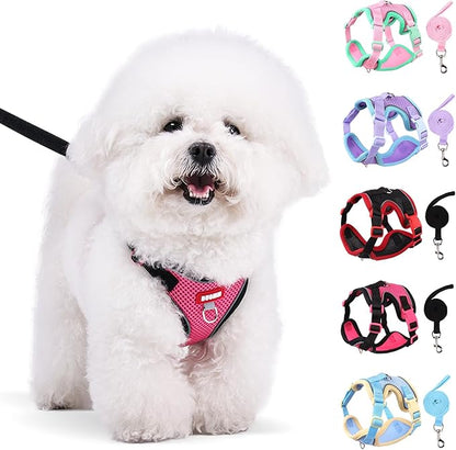 Coppthinktu Dog Harness with Leash Set for Small Sized Dogs Cats, No Pull Dog Harness Soft Mesh Cat Puppy Harness, Adjustable Reflective Step-in Pet Vest Harnesses for Outdoor Walking Training