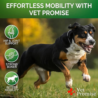 (2 Pack) Glucosamine for Dogs - Hip and Joint Supplement for Dogs - Glucosamine Chondroitin - Joint Pain Relief Pills - MSM - Hemp Oil - Advanced Health Support Supplement - 240 Mobility Chews