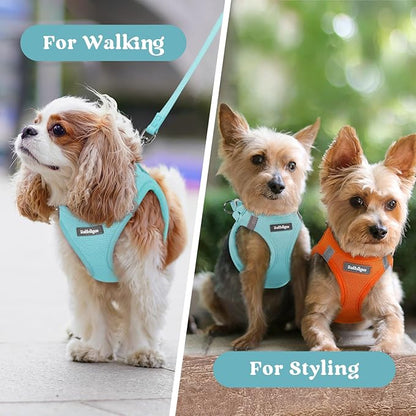 rabbitgoo Small Dog Harness, Step-in Soft Mesh Puppy Vest with Safety Buckle, Breathable Reflective Pet Harness for Extra Small Dogs, Mint Blue XXS