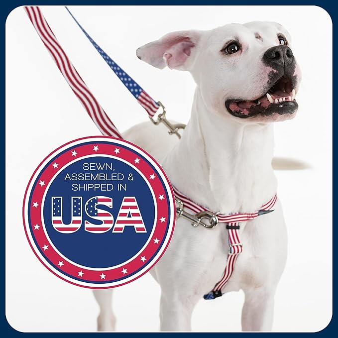 2 Hounds Design Freedom No Pull Dog Harness, Adjustable Harness and Leash Set, Easy Walking & Comfortable Control, Fits Small, Medium & Large Dogs, Solid Colors, Made in USA, 5/8" XS, Burgundy