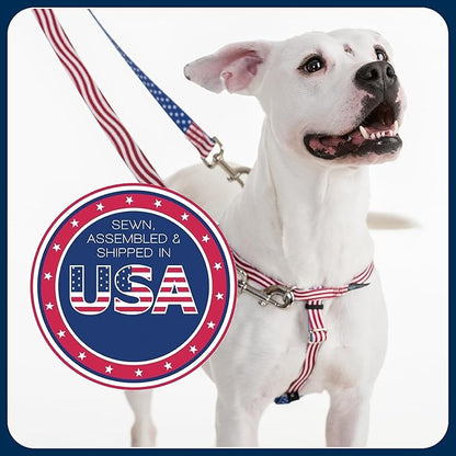 2 Hounds Design Freedom No Pull Dog Harness, Adjustable Harness and Leash Set, Easy Walking & Comfortable Control, Fits Small, Medium & Large Dogs, Solid Colors, Made in USA, 5/8" SM, Brown