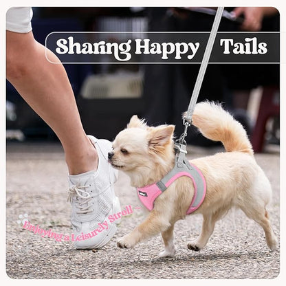 rabbitgoo Dog Harness Small Sized and Leash Set, Step in Soft Light Puppy Vest, Breathable Mesh Pet Harness, Reflective for Safe Easy Walking, Pink & Gray S