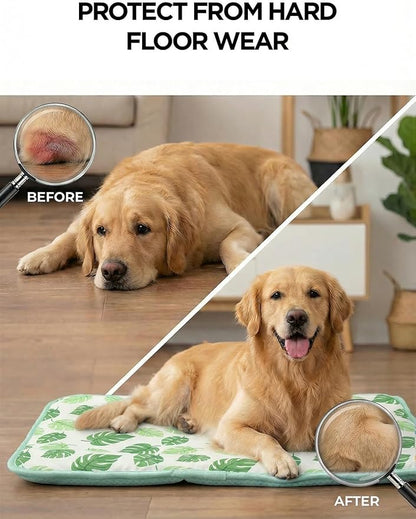Dog Cooling Mat for Dogs & Cats, Soft Breathable Cooling Pad for Dog Bed, 23"x18" Self Cooling Crate Mat for Dogs, No Gel Washable Non-Slip Pet Cooling Mat Indoor Outdoor, Leaf