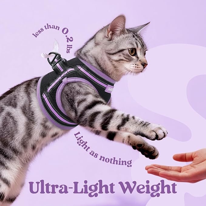 rabbitgoo Cat Harness and Leash Set for Walking Escape Proof, Adjustable Soft Kittens Vest with Reflective Strip for Cats, Comfortable Outdoor Vest, Black & Light Purple, M