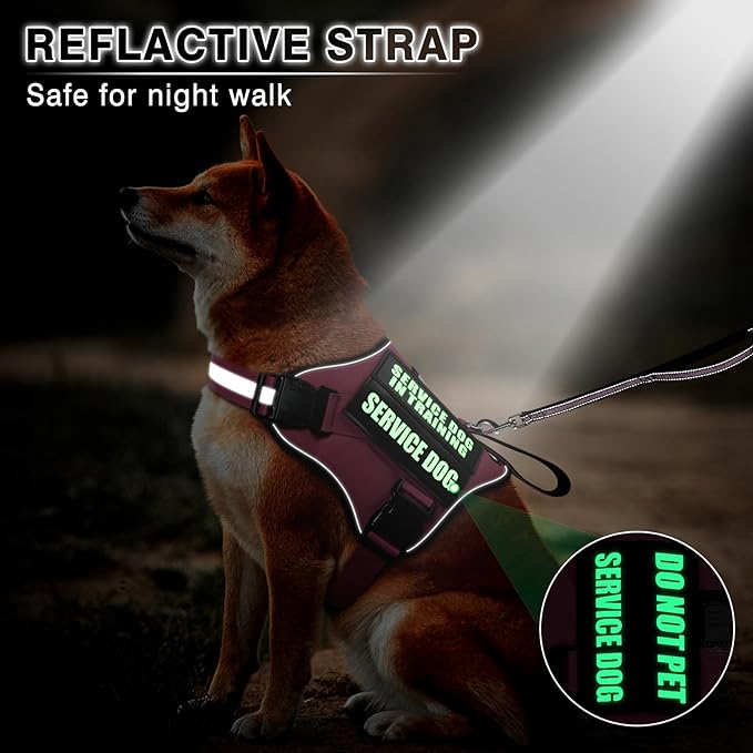 Service Dog Vest Harness and Leash Set+10 Patches,No Pull&Easy Walk Reflective Dog Harness with Soft Padded Handle for Training/Everyday,Fit Small/Medium/Large/Extra-Large Dogs (Pink XL)