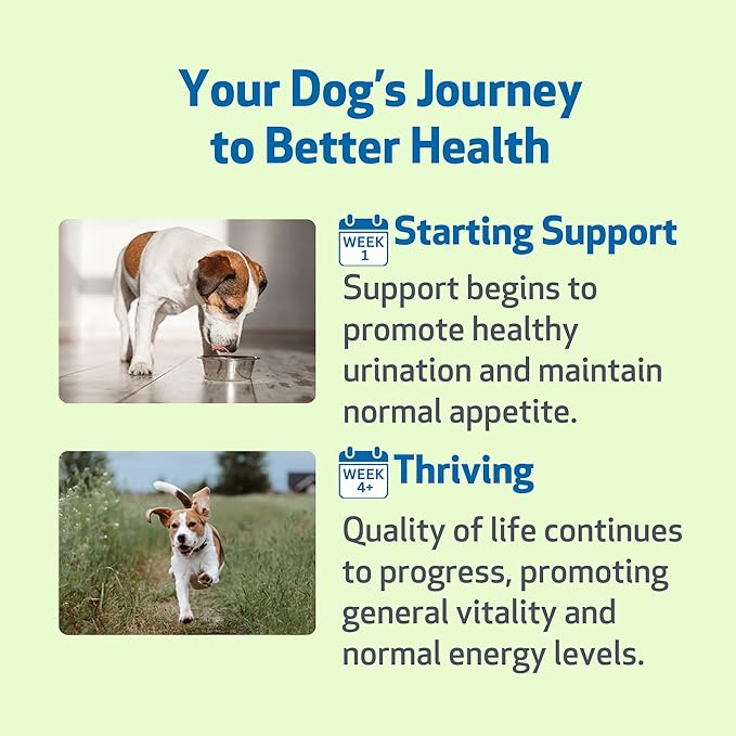 Pet Wellbeing Kidney Support Gold for Dogs - Supports Healthy Kidney Function, Fluid Balance, Energy Levels, Rehmannia, Dong Quai - Veterinarian-Formulated Herbal Supplement 4 oz (118 ml)
