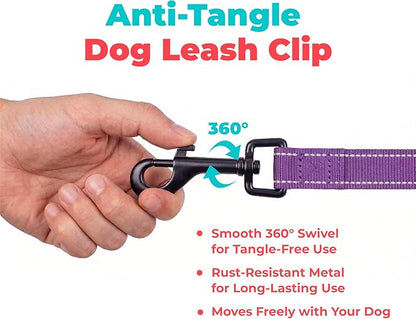 Best Pet Supplies Voyager Reflective Dog Leash or Collar with Neoprene Handle, for Small, Medium, and Large Breed Puppies, Cute and Heavy Duty for Walking, Running and Training - Purple (Leash), M