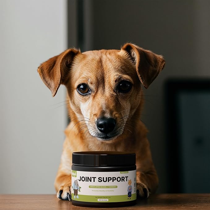 Joint Support with Green Lipped Mussel & Turmeric – Hip & Joint Supplement for Dogs & Cats, 175g (350 Servings) Kubi Pets