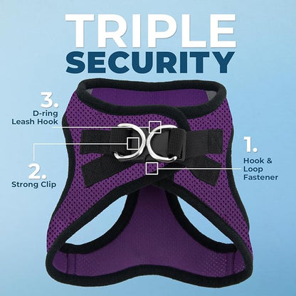 Best Pet Supplies Voyager Step-in Air All Weather Mesh Harness and Reflective Dog 5ft Leash Combo with Neoprene Handle, for Small, Medium and Large Breed Puppies - Set (Purple/Black Trim), X-Small