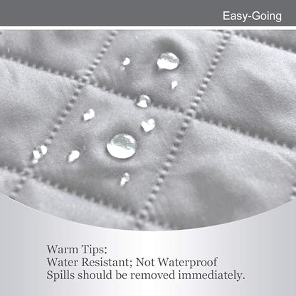 Easy-Going Reversible Loveseat Couch Cover for 2 Cushion Couch Sofa Cover for Dogs Water Resistant Furniture Protector with Foam Sticks Elastic Straps for Pet (Loveseat, Light Gray/Light Gray)