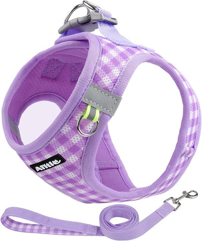 AIITLE Dog Harness and Leash Set, Reflective Adjustable Soft Mesh Vest with Plaid Print for Small Dogs – Breathable No-Pull Design for Daily Walks & Outdoor Adventures (XXS, Purple)