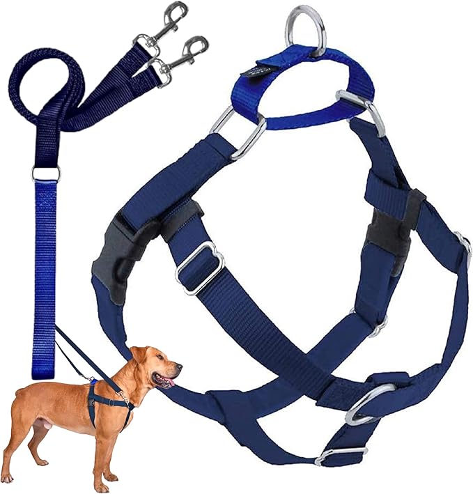 2 Hounds Design Freedom No Pull Dog Harness, Adjustable Harness and Leash Set, Easy Walking & Comfortable Control, Fits Small, Medium & Large Dogs, Solid Colors, Made in USA, 1" MD, Navy
