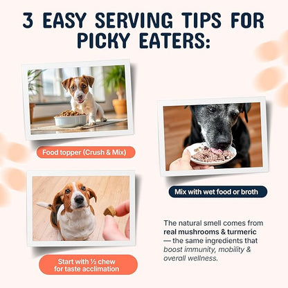 Pets are Kids Turkey Tail Mushroom for Dogs with Organic Real Turkey Tail™ - 8:1 Extract Mushroom Chews for Lumps & Bumps, Immunity, Gut, Skin, Joint & Spine Support - Reishi, Lion’s Mane - 240 Chews