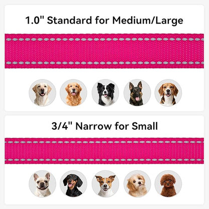 Joytale Dog Leash, 6 FT Double-Sided Reflective, Padded Handle Nylon Heavy Duty Leashes for Medium & Large Dogs Walking, Hotpink