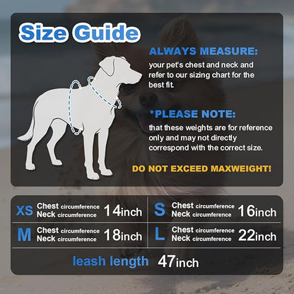 Dog Harness Medium Sized Dogs, Puppy Harness and Leash Set for Training, Running, Walking, Suitable for Small and Medium Dog Vest, Blue, S