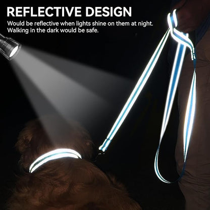 Joytale Dog Leash, 6 FT Double-Sided Reflective, Padded Handle Nylon Heavy Duty Leashes for Medium & Large Dogs Walking, SkyBlue