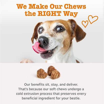 Zesty Paws Vet Strength Probiotics for Dogs, Digestive Health & Gut Flora Support, Dog Supplements, 90 Count
