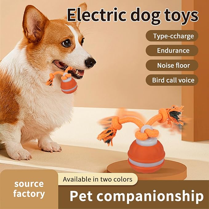 2PCS Interactive Dog Toys Dog Ball,Automatic Rolling and Bouncing Moving Dog Toy,Squeaky Rolling Balls with Flashing Light,USB Rechargeable Chew Toys for Puppy Small Dogs, Pet Ball to Keep Them Busy