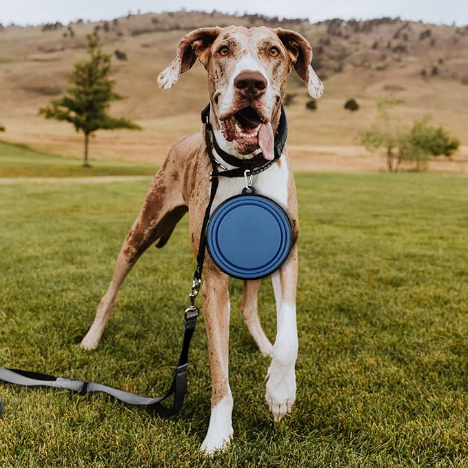 Collapsible Dog Bowls-2 Pack Large Size for Large/Medium Dogs, Pet Travel Water Bowl, Dogs Cat Portable Water Bowl, Dog Pet Feeding Watering Dish Outdoor Hiking Parking Traveling with 2 Carabiners