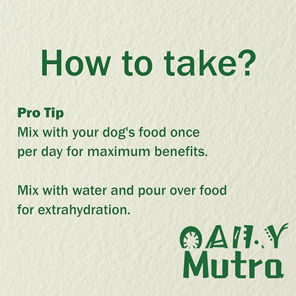 Dog Multivitamin Powder with Chondroitin, Omega 3 & Probiotics - 45-in-1 Daily Vitamins and Supplements for Dogs to Support Joint, Immune System, Digestive Health, Skin & Coat - 8.8 oz
