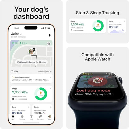 Fi New Series 3+ Smart Dog Tracker Collar [12 Month Membership Included] GPS Tracker for Dogs with Health & Behavior Monitoring, Escape Alerts, Waterproof, LED, Apple Watch Compatible (Gray, Small)
