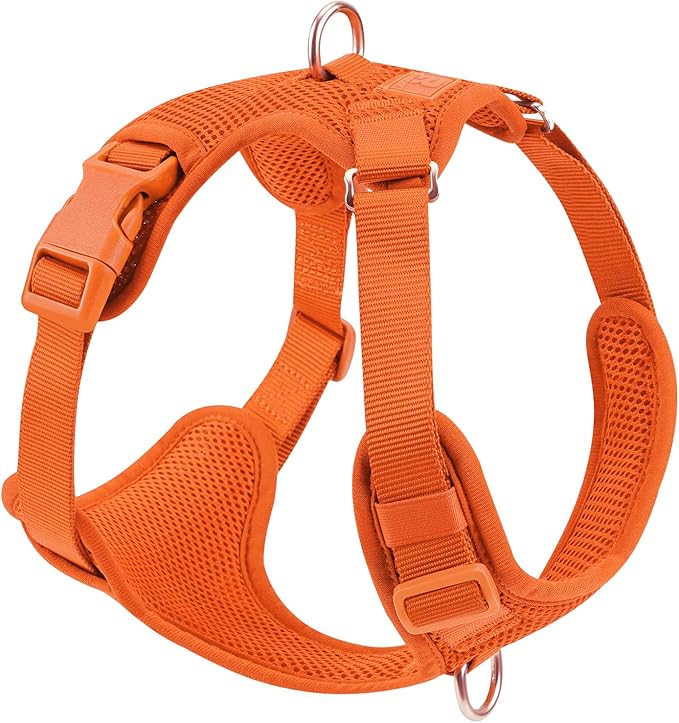 No Pull Dog Harness for Small Medium Large Dogs - Adjustable 2 Layer Mesh Dog Vest with Dual Clip, Escape Proof, Quick Release, Lightweight Breathable Mesh for Walking Hiking (Orange,XL)