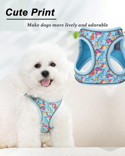 XXS Blue Dinosaur Pattern Dog Harness and Leash Set,No Escape Puppy Harnesses for Training Walking，Breathable Adjustable Puppy Vest for Small Medium Dogs, Cats (Blue, XXS)