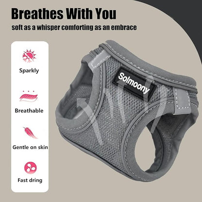 Solmoony Sparkly XS Dog Harness and Leash Set, Step in Soft Light Puppy Vest, Breathable Reflective Pet Harness for Walking, Puppy Harness for Small Dogs Cats (Grey, XS)