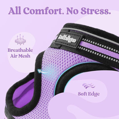 rabbitgoo Cat Harness and Leash Set for Walking Escape Proof, Adjustable Soft Kittens Vest with Reflective Strip for Cats, Comfortable Outdoor Vest, Light Purple, S