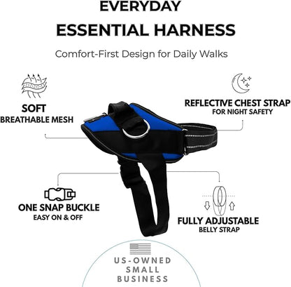 ShawnCo Essential Dog Harness, No-Pull Pet Vest with 3 Leash Clips, No Choke, Reflective, Adjustable and Padded, for Easy Walking and Training for Small, Medium and Large Dogs (Electric Blue,XS)