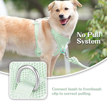 No Pull Dog Harness for Small Medium Large Dogs - Adjustable 2 Layer Mesh Dog Vest with Dual Clip, Escape Proof, Quick Release, Lightweight Breathable Mesh for Walking Hiking (Light Green,L)