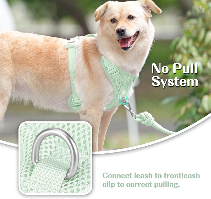 No Pull Dog Harness for Small Medium Large Dogs - Adjustable 2 Layer Mesh Dog Vest with Dual Clip, Escape Proof, Quick Release, Lightweight Breathable Mesh for Walking Hiking (Light Green,S)