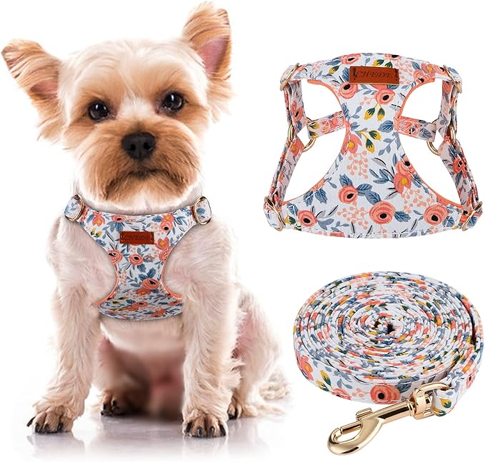 CHEDE No Pull Floral Pattern Dog Harness- Lightweight, Soft, Adjustable Small Harness and Leash Set, Suitable for Puppy Small and Medium-Sized Dog (XXS, Orange Rose)