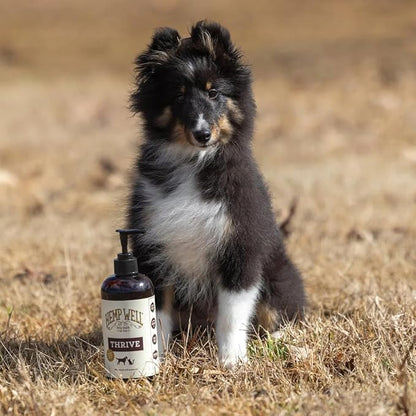 Hemp Well Thrive Oil for Dogs and Cats – Supports Hip, Joint, and Heart Health, Promotes Immune System, and Promotes Healthy Skin from Seasonal Allergies, Organically Sourced - 8 Ounces