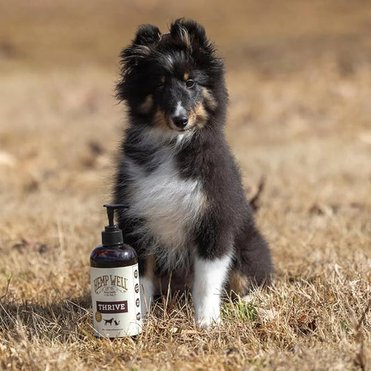 Hemp Well Thrive Oil for Dogs and Cats – Supports Hip, Joint, and Heart Health, Promotes Immune System, and Promotes Healthy Skin from Seasonal Allergies, Organically Sourced - 8 Ounces