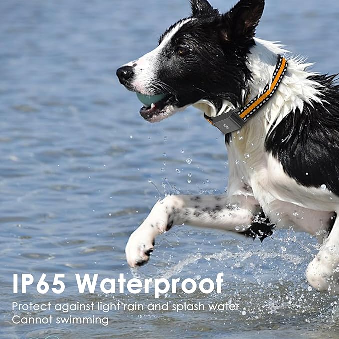 Dog GPS Tracker, Live Pet Tracker with Virtual Fence, Waterproof Anti-Lost Real-Time Tracking Breakaway Collar, Smart App Monitor Activity (Subscription 1 Year Free) (Black)