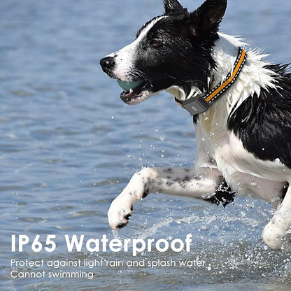Dog GPS Tracker, Live Pet Tracker with Virtual Fence, Waterproof Anti-Lost Real-Time Tracking Breakaway Collar, Smart App Monitor Activity (Subscription 1 Year Free) (Black)