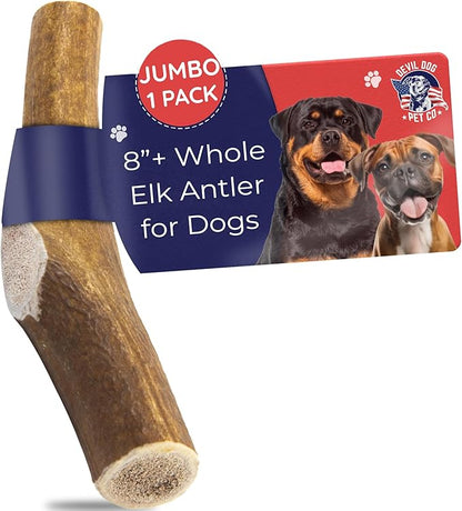 Devil Dog Pet Co - Elk Antler for Dogs Jumbo - Long Lasting Natural Dog Chew for Power Chewers, Large to XL Breeds - Naturally Shed Grade A Rocky Mountain Elk, Anxiety & Boredom Relief (70-95 lbs)
