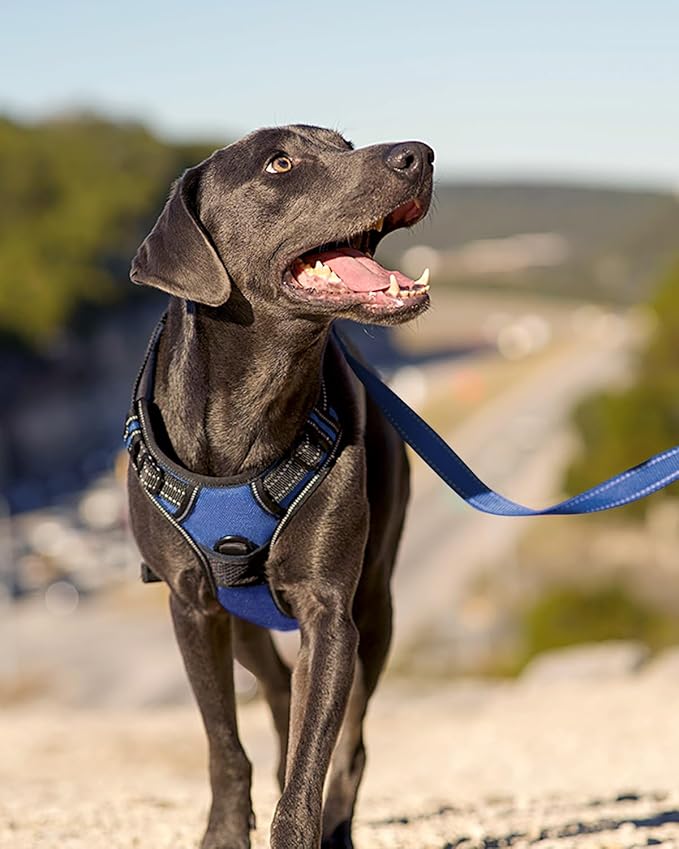 Joytale No Pull Dog Harness for Large Dogs, Reflective Pet Vest with Front Clip, Adjustable Soft Padded Harnesses with Easy Control Handle for Training and Walking, Navy Blue, L