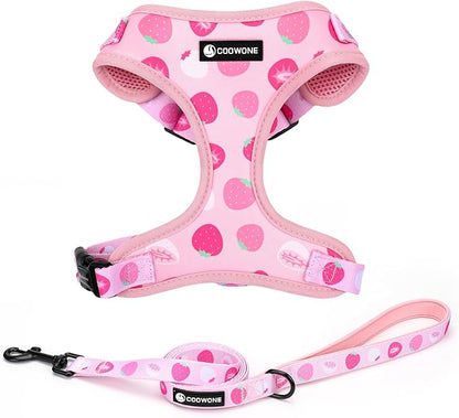 Dog Harness and Leash Set, Adjustable Dog Harness, Dog Leash, No Pull No Choke Puppy Harnesses for Walking Training for Small Medium Pet (Strawberries, XS(Chest 9.9-13.5", Neck 7.8-10.2"))