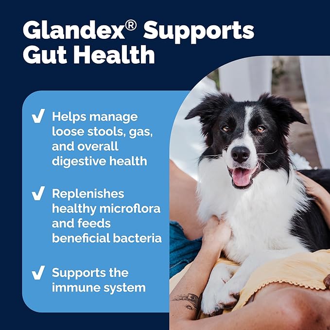Vetnique Glandex Daily Probiotics for Dogs with Prebiotics to Support Gut Health, Diarrhea with Fiber and Digestive Enzymes, Dog Probiotic Chews or Powders (120ct Chews, Bacon Chews)