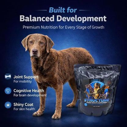 CPN Structure Premium Puppy Growth Supplement – Supports Muscle, Bone & Immune Development – 100% Human Grade Protein from Egg & Milk – Probiotics, Enzymes & Omegas (2 lbs)