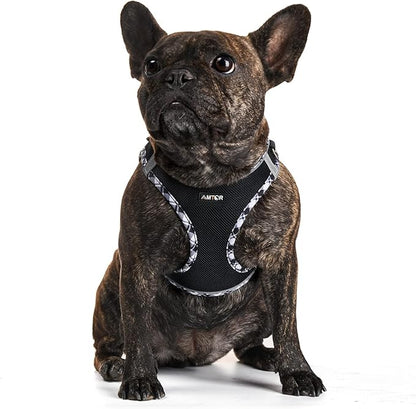 AMTOR Small Dog Harness with Leash Set, No Escape Easy Walk Puppy Harnesses for Training Walking, Step-in Reflective Soft Dogs Vest for XS S Medium Extra-Small Large Sized Dog(Blackwhite,S)