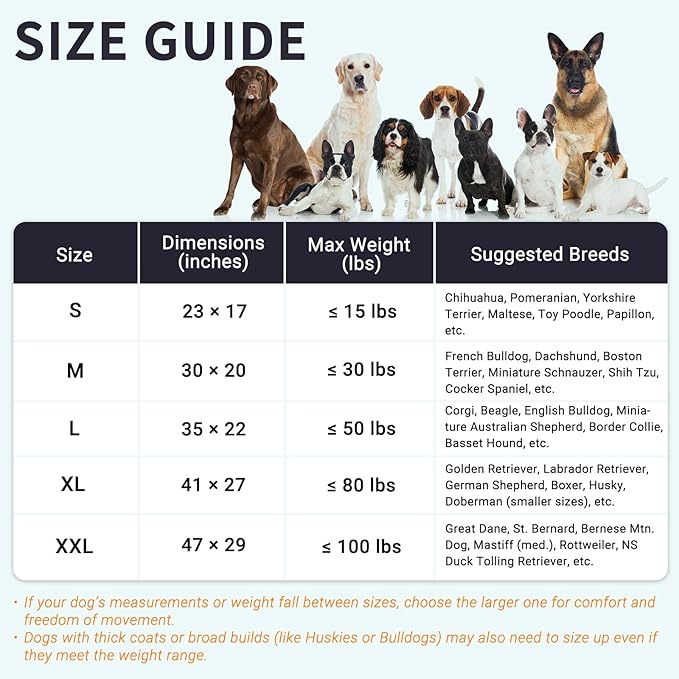Cozy Dog Bed for Large Sized Dog - Orthopedic Egg Crate Foam Pet Bed with Waterproof & Machine Washable & Non-Slip Bottom, Ideal Beds for Crate and Indoor Use, 35x22 Inch, up to 50 lbs, Dark Grey