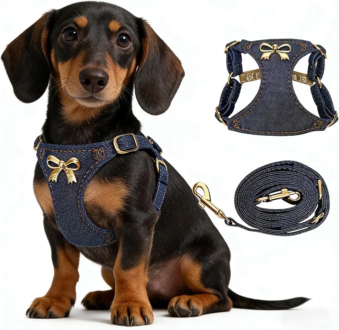 No Pull Dog Harness and Leash Set for Small Sized Dog Training Puppy Harnesses with Multifunction Dog Leash Soft Adjustable Denim No Choke Escape Proof Pet Harness for Small Medium Dog (Navy Blue S)