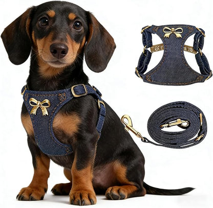 No Pull Dog Harness and Leash Set for Small Sized Dog Training Puppy Harnesses with Multifunction Dog Leash Soft Adjustable Denim No Choke Escape Proof Pet Harness for Small Medium Dog (Navy Blue S)