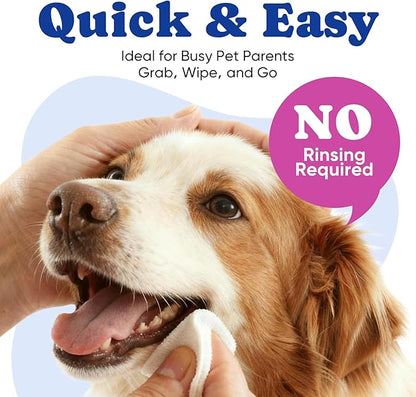 Dog Eye Wipes, Tear Stain Remover for All Dogs & Cats – Hypoallergenic & Deodorizing Eye Wipes for Dogs, Pet Eye Cleaner Wipes with Enzymes for Discharge, Crust, Mucus & Debris, Coconut (100 Ct)