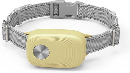 Automatic Pet Door Collar - Compatible with High Tech Pet Doors (for MS-4, MS-6), Green & Yellow & Purple, 3PK
